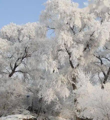 冰凝_冰凝爱语梦翠霜_冰凝雪