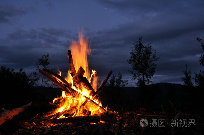 柴草的拼音_柴草是什么意思_草柴