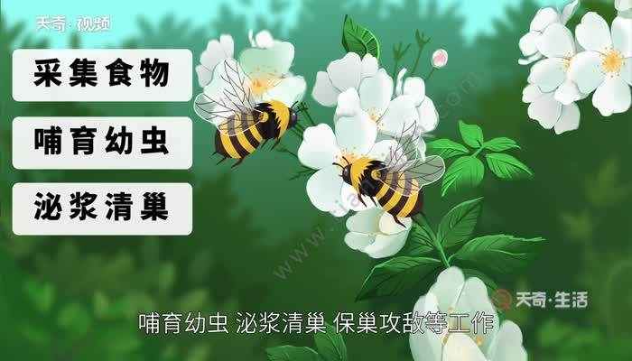 蛊惑幼虫冷狐版免费下载_蛊惑幼虫冷狐版汉化版_蛊惑的幼虫