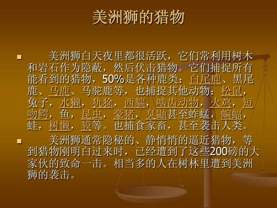 长吻雀鳝_长吻雀鳝用什么鱼饵钓_长吻雀鳝和福鳄