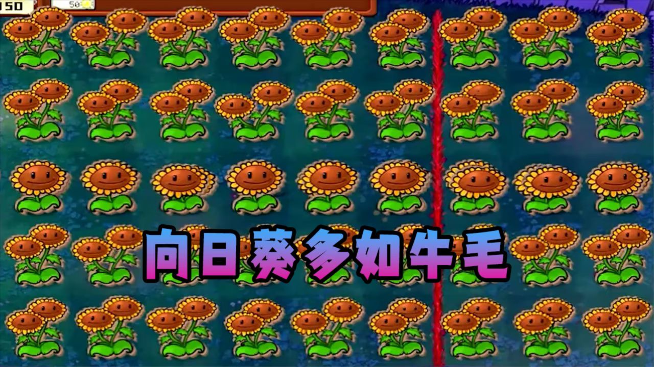 僵尸大战植物电影_僵尸大战植物破解版_植物大战僵尸95