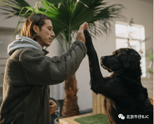 调教尤娜_调教尤娜_调教尤娜