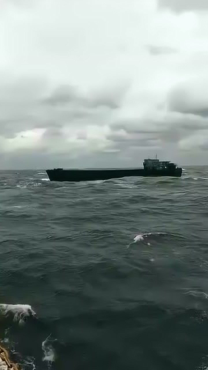 厉海帆哪年出生_厉海帆_厉若海