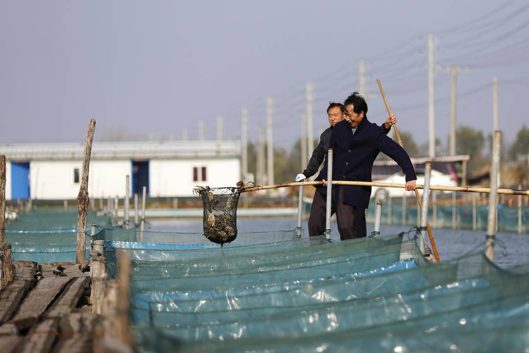 底大猎杀海底大猎杀_海底猎杀小游戏_海底大猎杀crab madness是什么模式