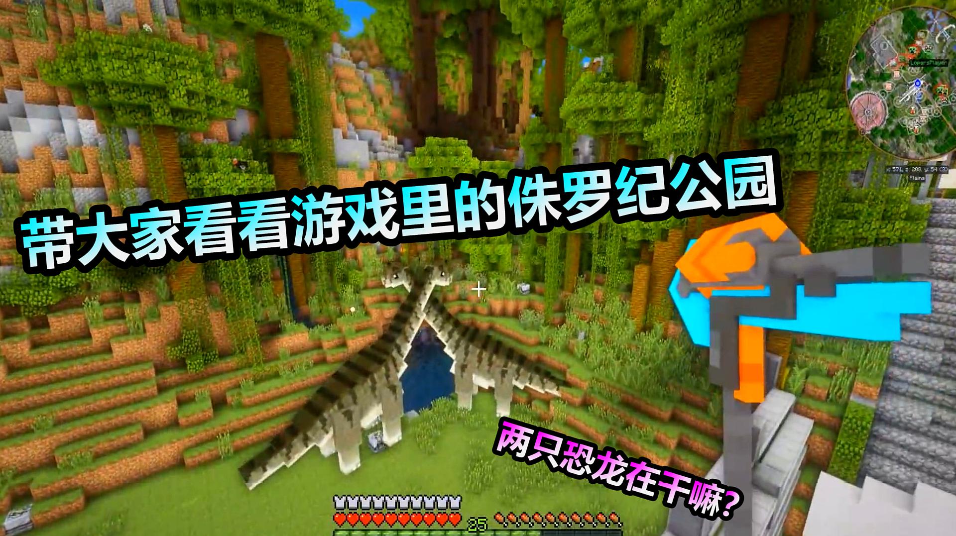 视频播放游戏_游戏手机看视频怎么样_手机播游戏视频