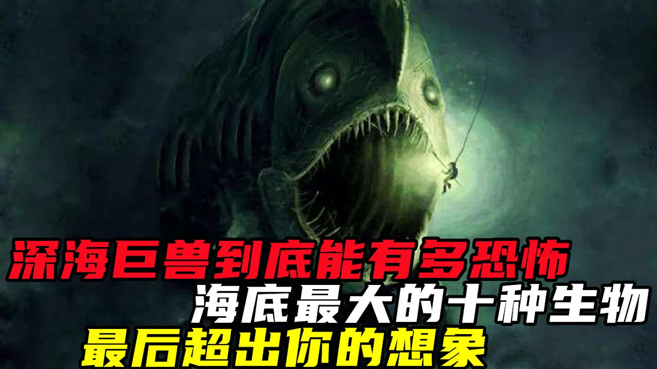 海洋生物素材_素材海洋生物视频_海洋生物视频素材高清