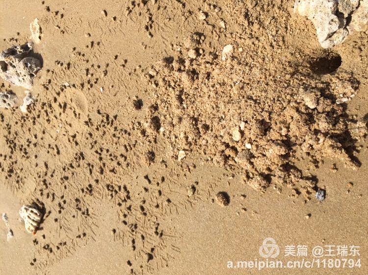 海底大猎杀蟹王视频_海底大猎杀螃蟹王游戏_海底大猎杀螃蟹掉落的法杖