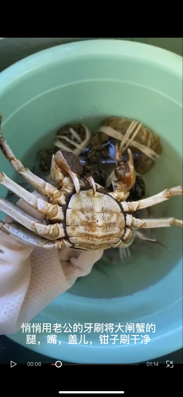 螃蟹生物图_螃蟹生态系统_螃蟹 模式生物
