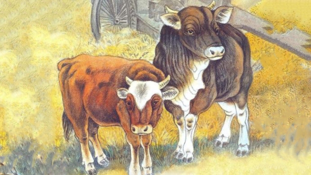 属牛的最佳配偶 属牛的人最佳配偶：与哪种人最合拍？