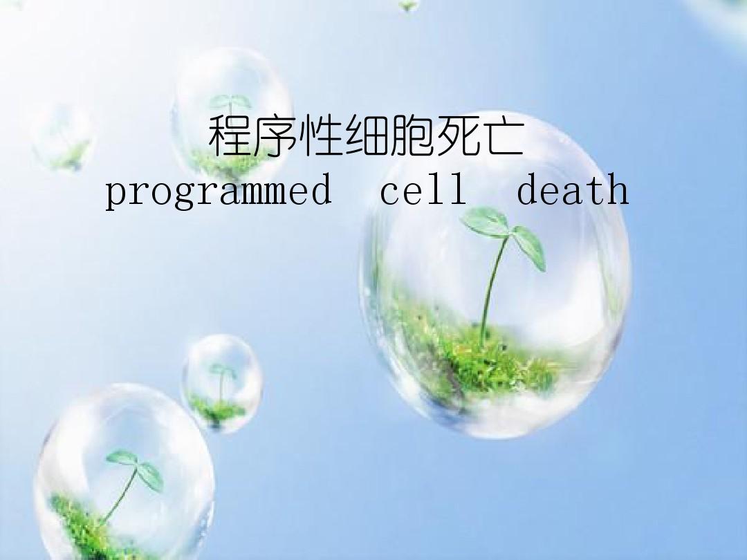 图纸取出器死亡细胞_细胞提取器的说明_死亡细胞图纸提取器