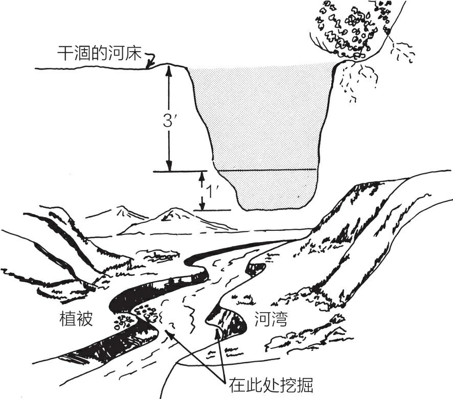 生存危机手游_危机生存无限金币_生存危机手机小游戏下载