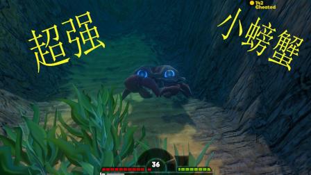 海底猎杀手游版_底大猎杀海底大猎杀_海底大猎杀crab madness是什么模式