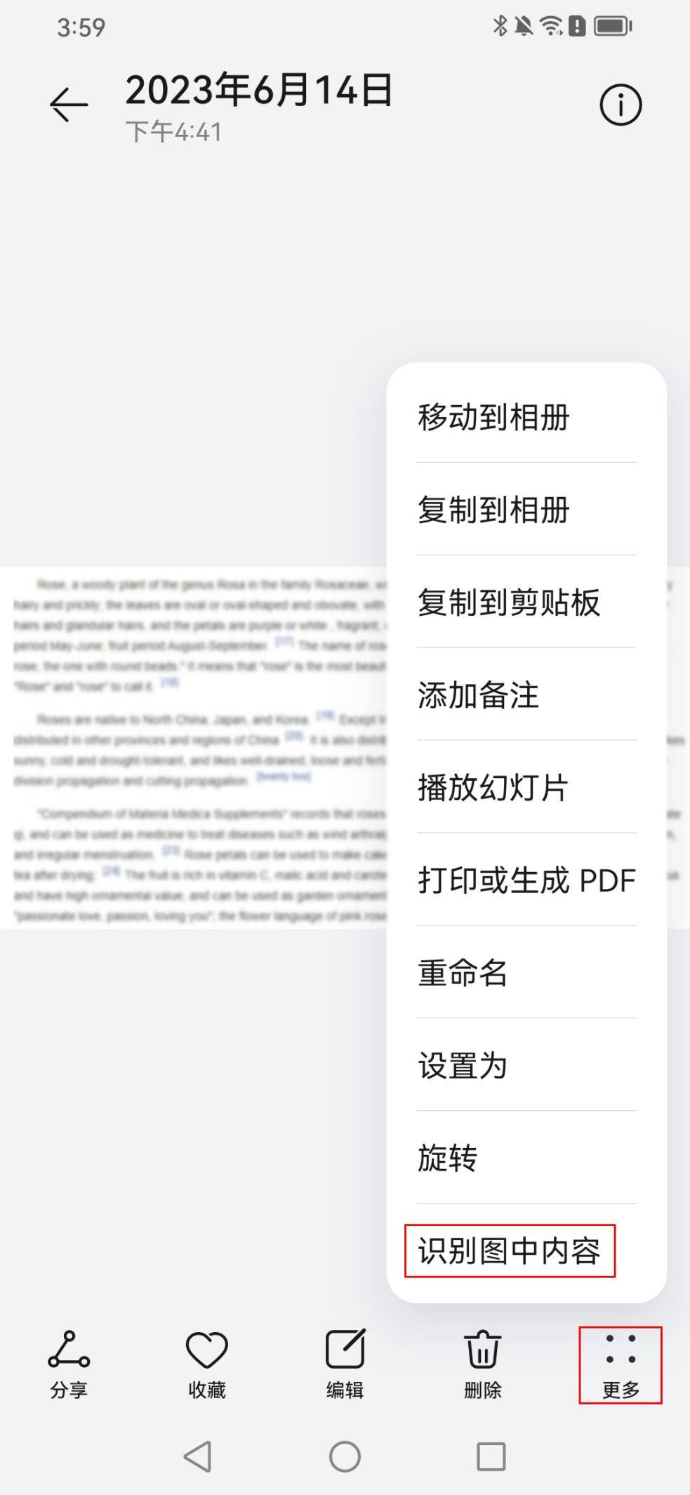 在线文字制作图片软件_在线文字制作成图片_文字在线制作