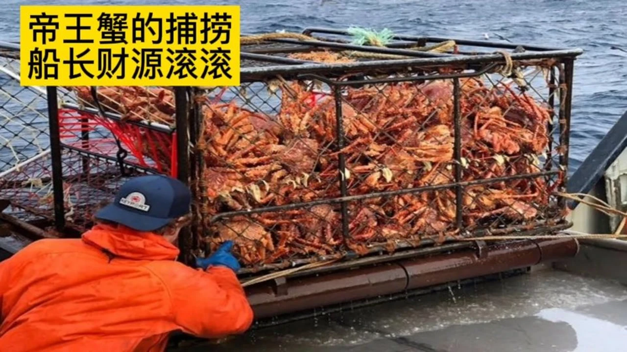 螃蟹杀手_螃蟹大猎杀_残忍杀螃蟹
