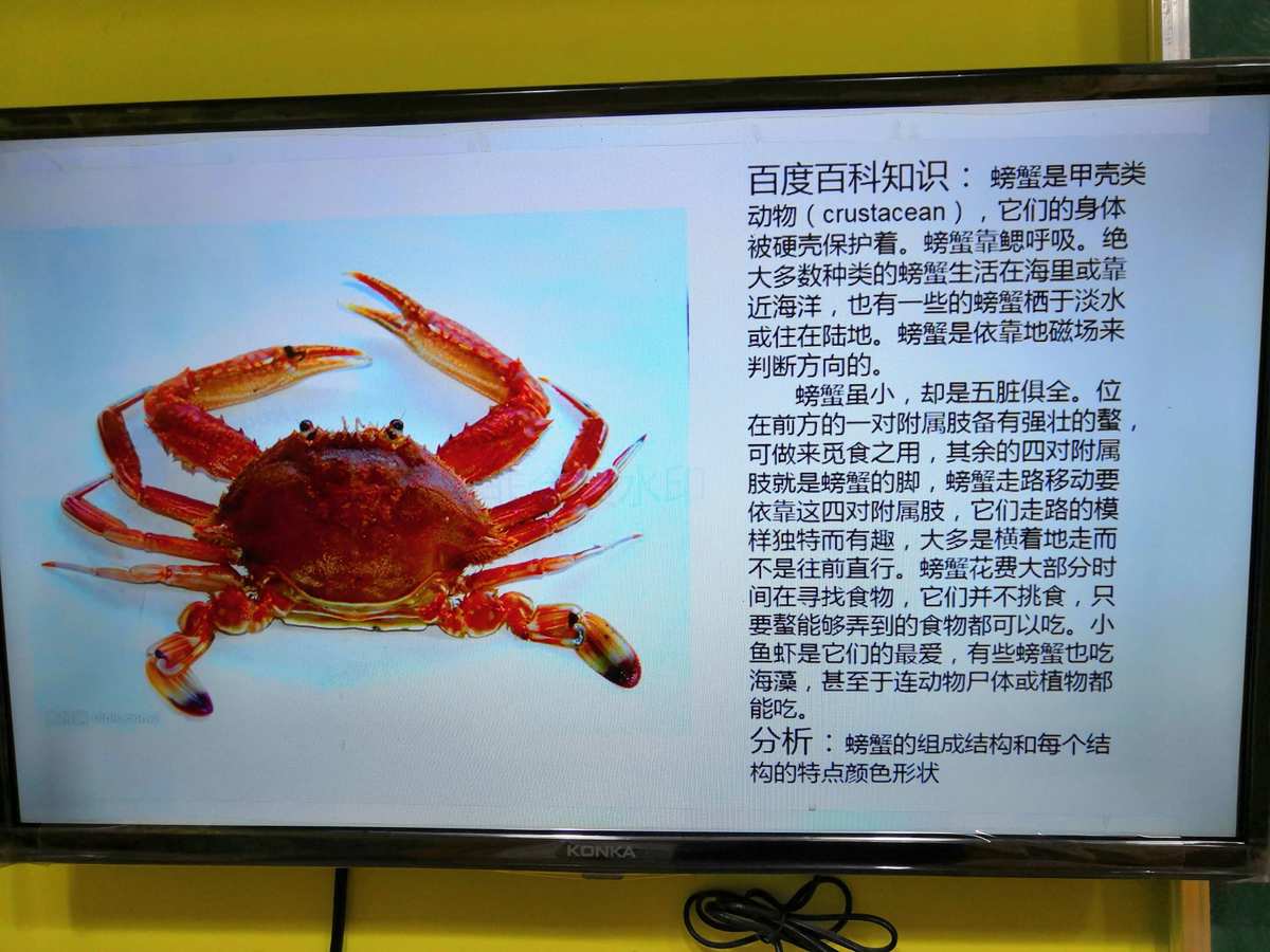 海底猎杀海_海底大猎杀crab madness是什么模式_猎杀u-42海底大战