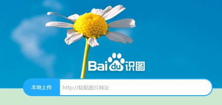 百度识图网页版电脑版_百度识图网页版式_电脑百度识图怎么用