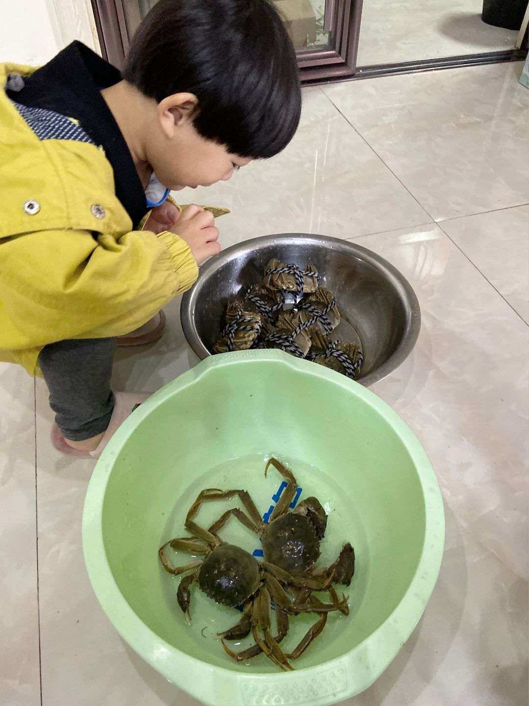 螃蟹模式汽车股票_螃蟹模式_螃蟹模式汽车实际续航
