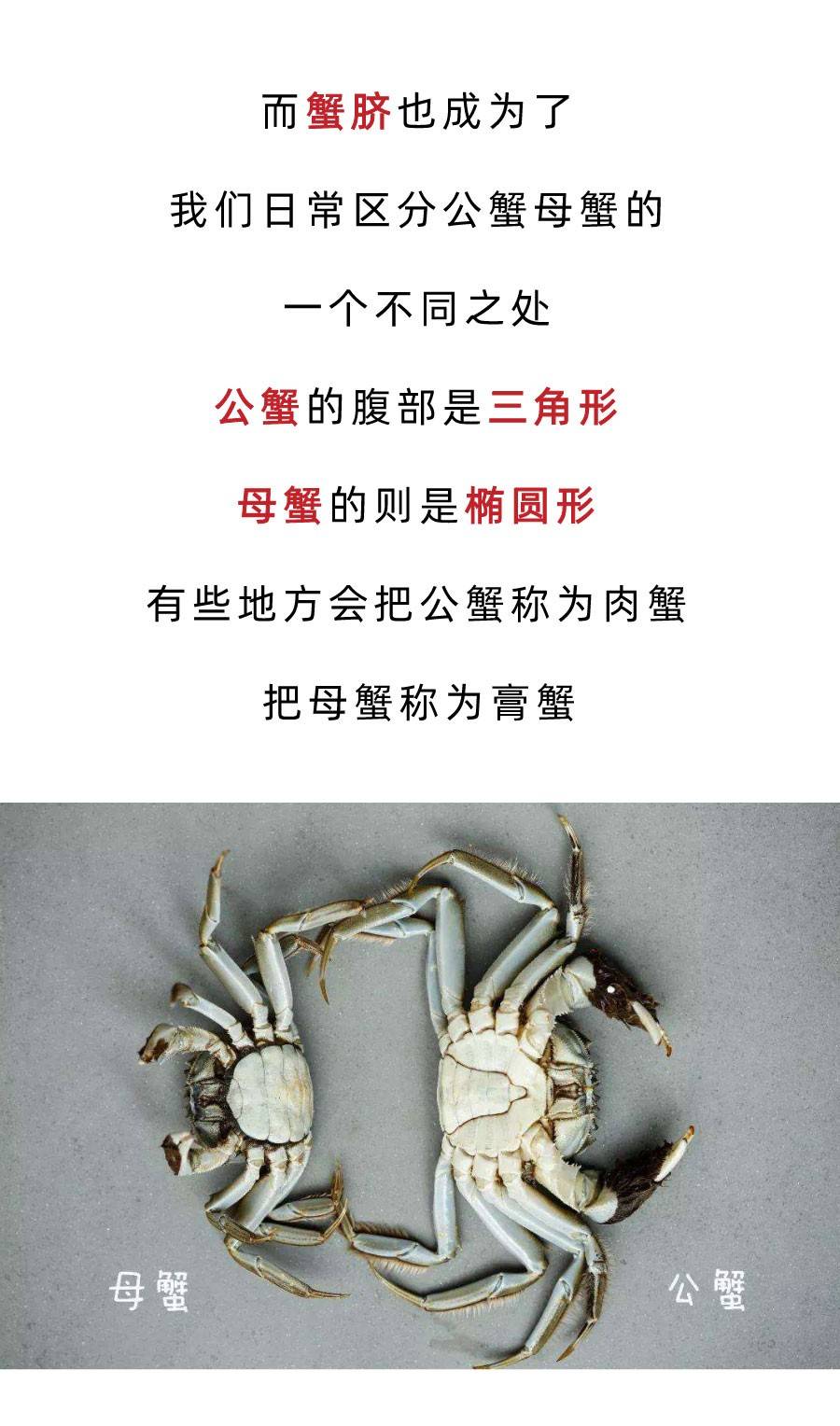 螃蟹模式图_螃蟹模式在游戏中是什么意思啊_螃蟹模式