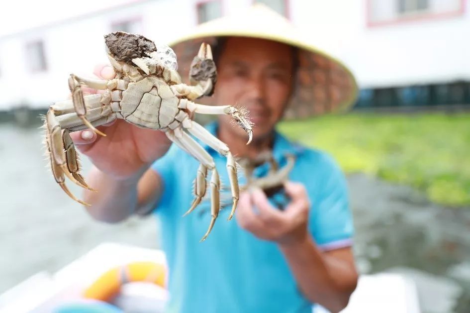 螃蟹模式在游戏中是什么意思啊_螃蟹模式图_螃蟹模式