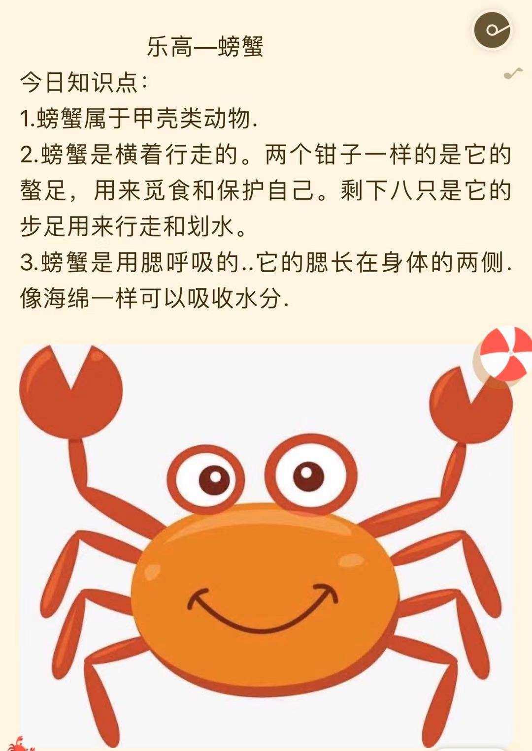 螃蟹模式生物_螃蟹生物模式图_螃蟹生物模式是什么