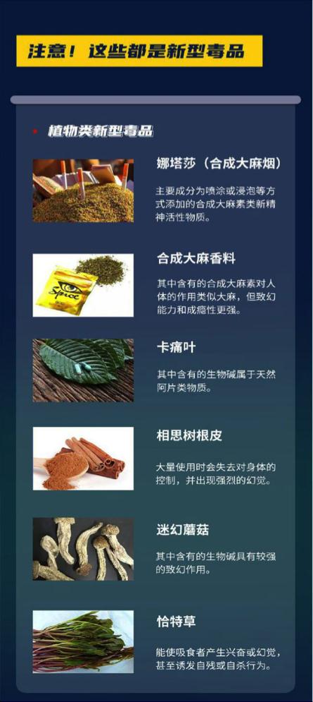 戒毒中药蓝精灵_毒品蓝精灵别称_毒品蓝精灵的学名