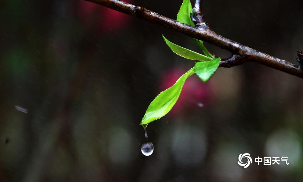 雨后小故事图片动态_雨后故事2动态全图_雨后的故事动态图