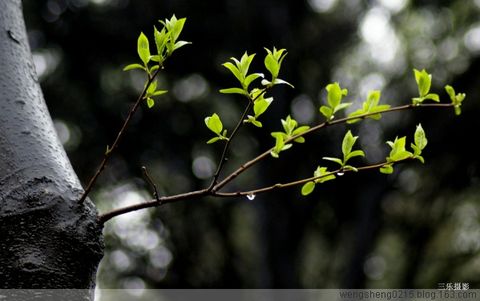 雨后的故事动态图_雨后故事2动态全图_雨后小故事图片动态