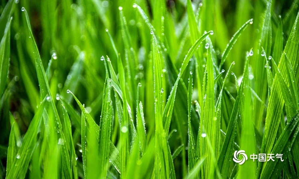 雨后的故事动态图_雨后故事2动态全图_雨后小故事图片动态