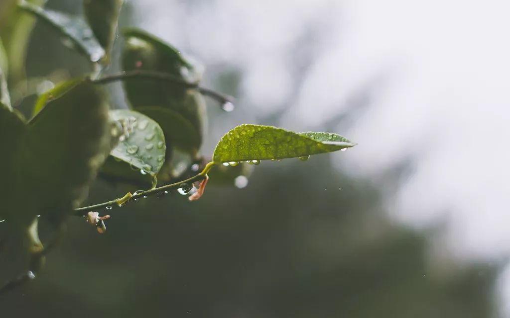 雨后故事2动态全图_雨后的故事动态图_雨后小故事图片动态