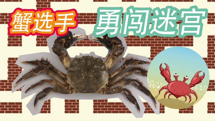 海底大猎杀大螃蟹_海底大猎杀中文版 螃蟹_海底大猎杀螃蟹掉落的法杖