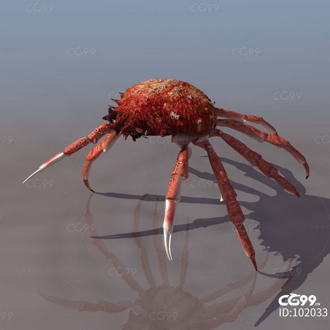 螃蟹生物模式是什么_螃蟹生物模式图_螃蟹模式生物