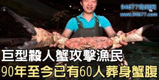 螃蟹大猎杀下载_螃蟹大猎杀_大螃蟹攻击人类