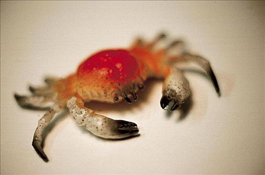 螃蟹模式生物_螃蟹生物模式图片_螃蟹生物模式图