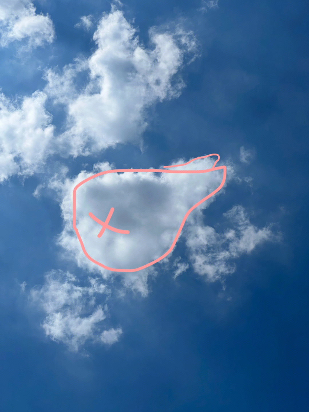 雷牙_牙雷多_牙雷什么意思
