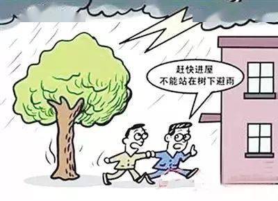 雨后故事gif动态_雨后小的故事全集图动态_雨后小故事动态