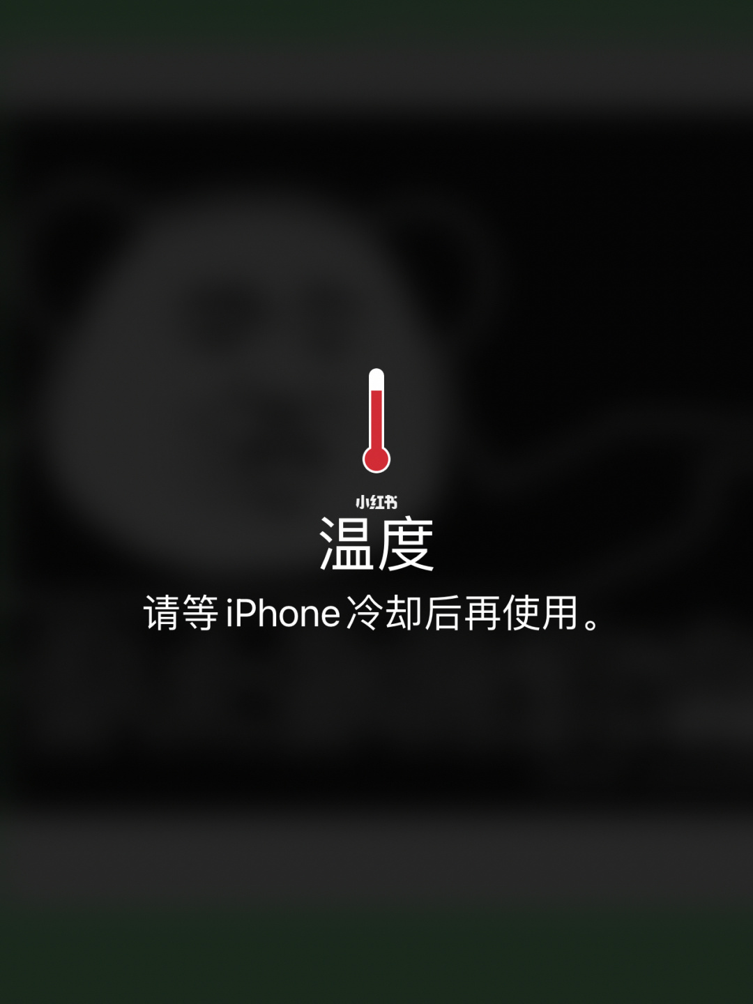 手机烫苹果_苹果手机发烫处理法_苹果头发烫
