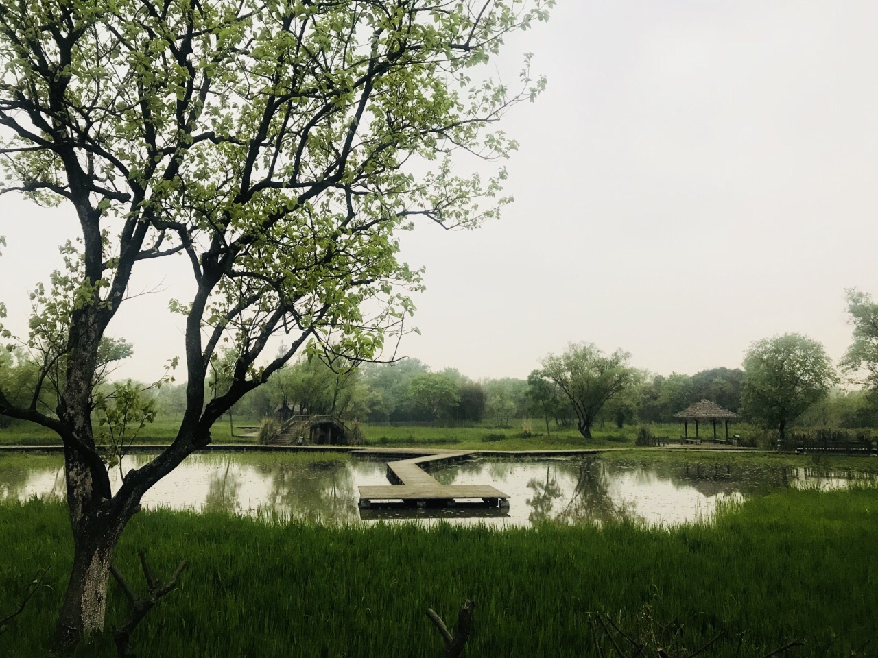 西溪湿地费用_西溪湿地农场_杭州西溪湿地附近农家乐