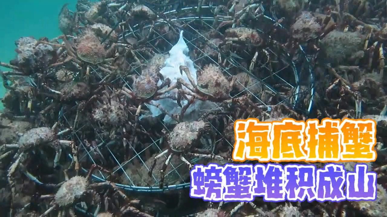 海底大猎杀crab madness是什么模式-惊险刺激！海底