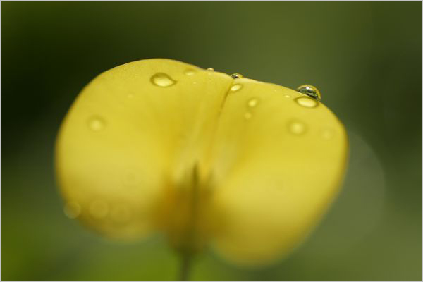 怎么关闭ai摄影_ai摄影开启好还是关闭好_ai摄影是什么意思可以关掉吗