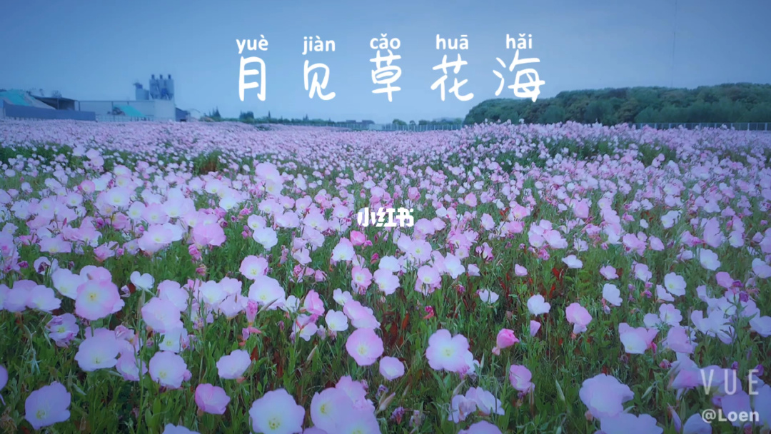 千本桜_千本桜_千本桜