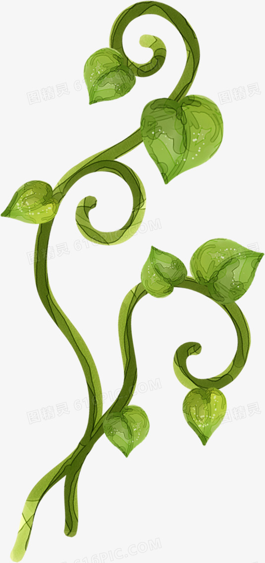 百图汇卡通花藤图片-百图汇：萌趣卡通花藤，领略大自然之美