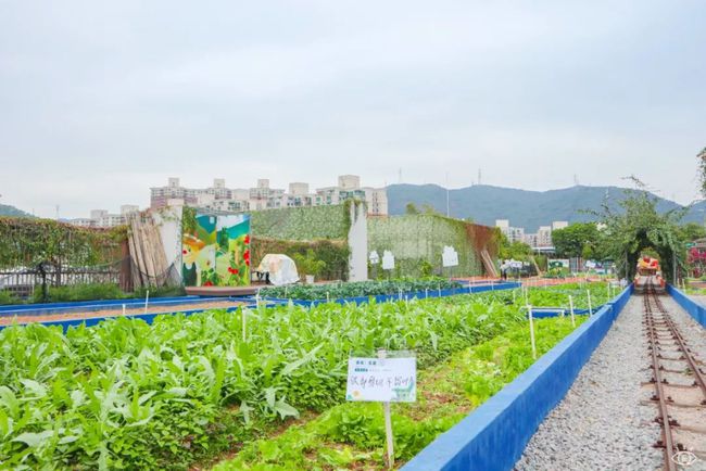 西溪太美农场关门了_西溪太美农场要门票吗_西溪农庄价位
