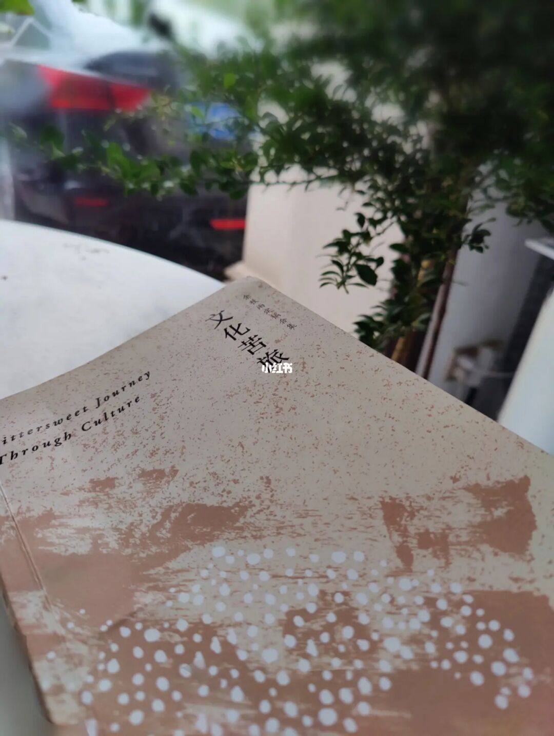 什么是灵魂碎片_灵魂碎片下线会消失吗_灵魂碎片