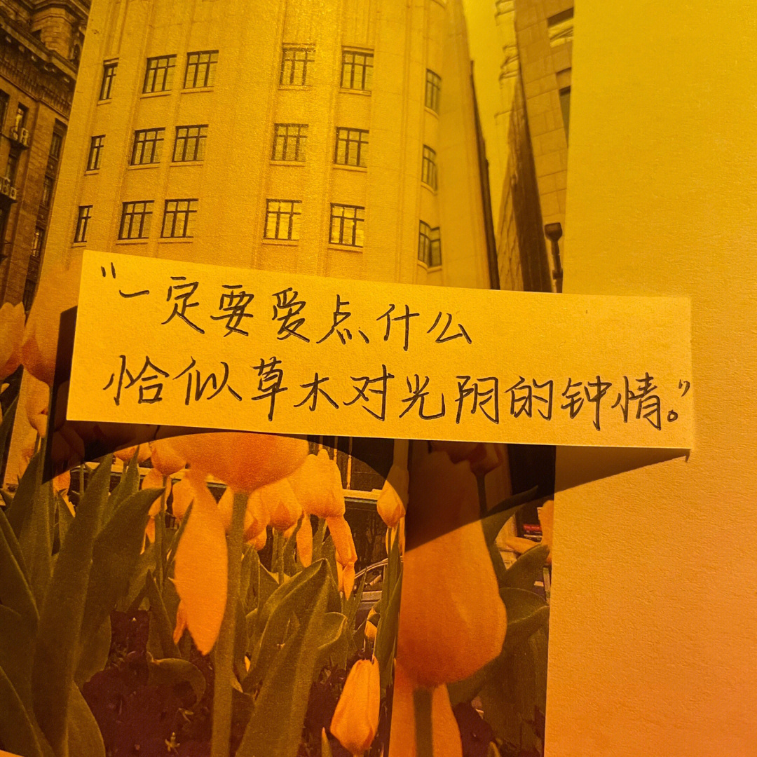 甩单是什么意思啊_甩单开户是什么意思_甩单,一甩到底