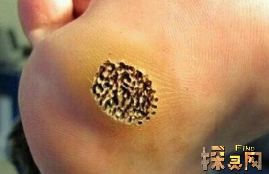 口味王百度百科_口味网怎么中奖_重口味网站