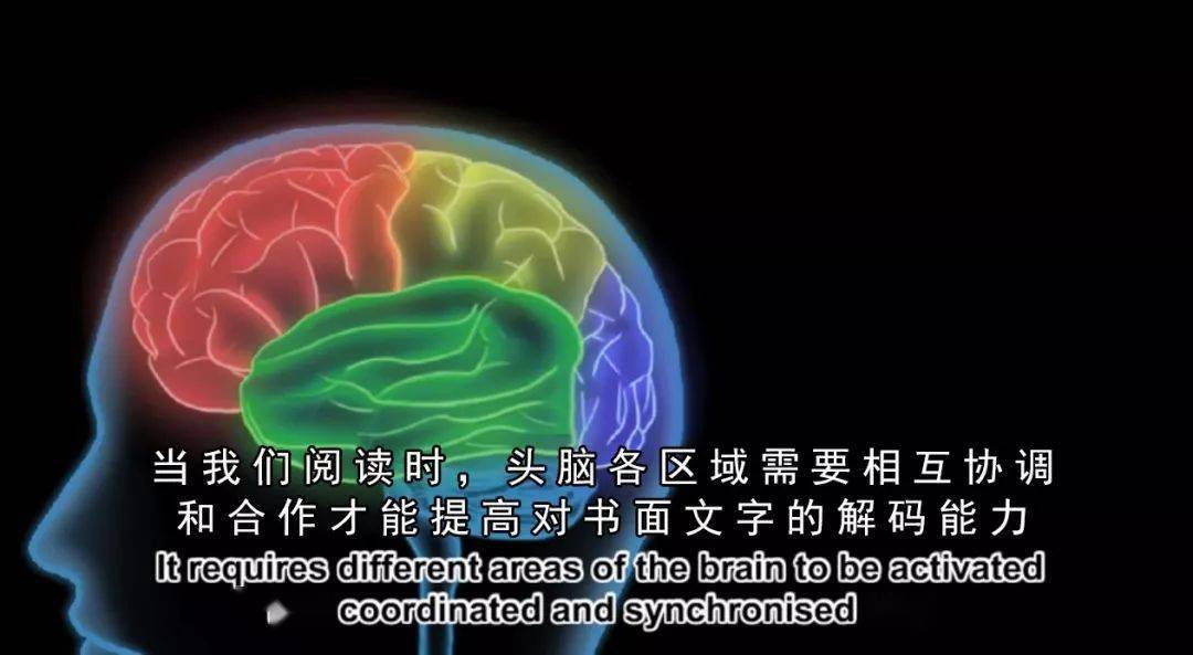 口味王官网批发价格_口味网上市了吗_重口味网站