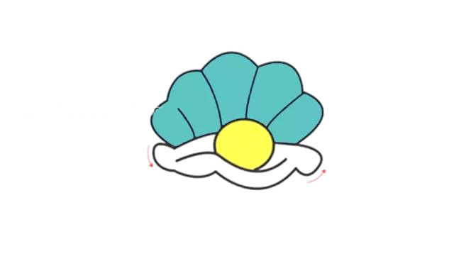 贝壳简笔画彩色_笔画彩色贝壳简笔画大全_笔画彩色贝壳简单又漂亮