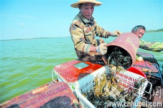 海底大猎杀crab madness是什么模式_海底猎杀小游戏_猎杀u-42海底大战