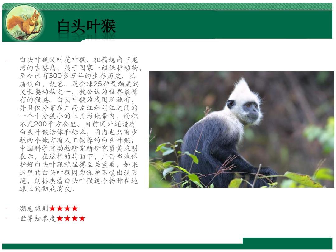 百图汇动物图片_动物汇总图片_动物图片绘画简单图片