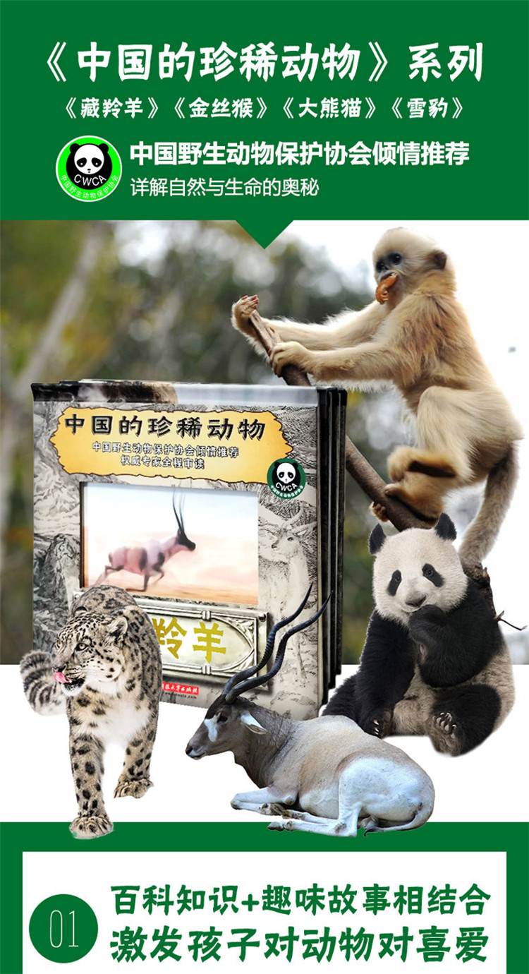 动物图片绘画简单图片_百图汇动物图片_动物汇总图片